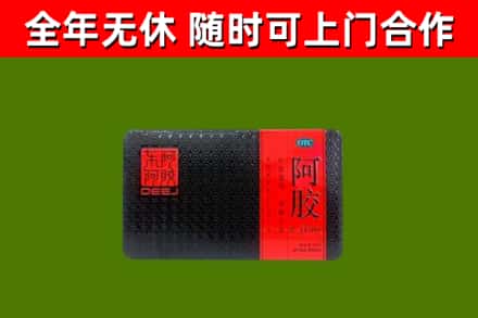 贡井区回收阿胶